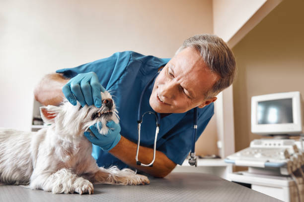 Best Tooth Infection Emergency Dentist  in Three Way, TN